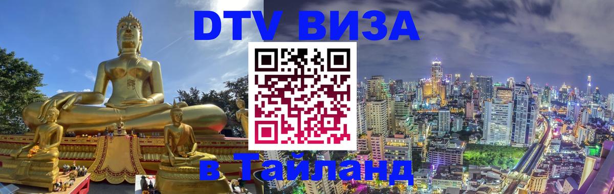 Оформление DTV визы под ключ: стоимость и тарифы, только загранпаспорт - 